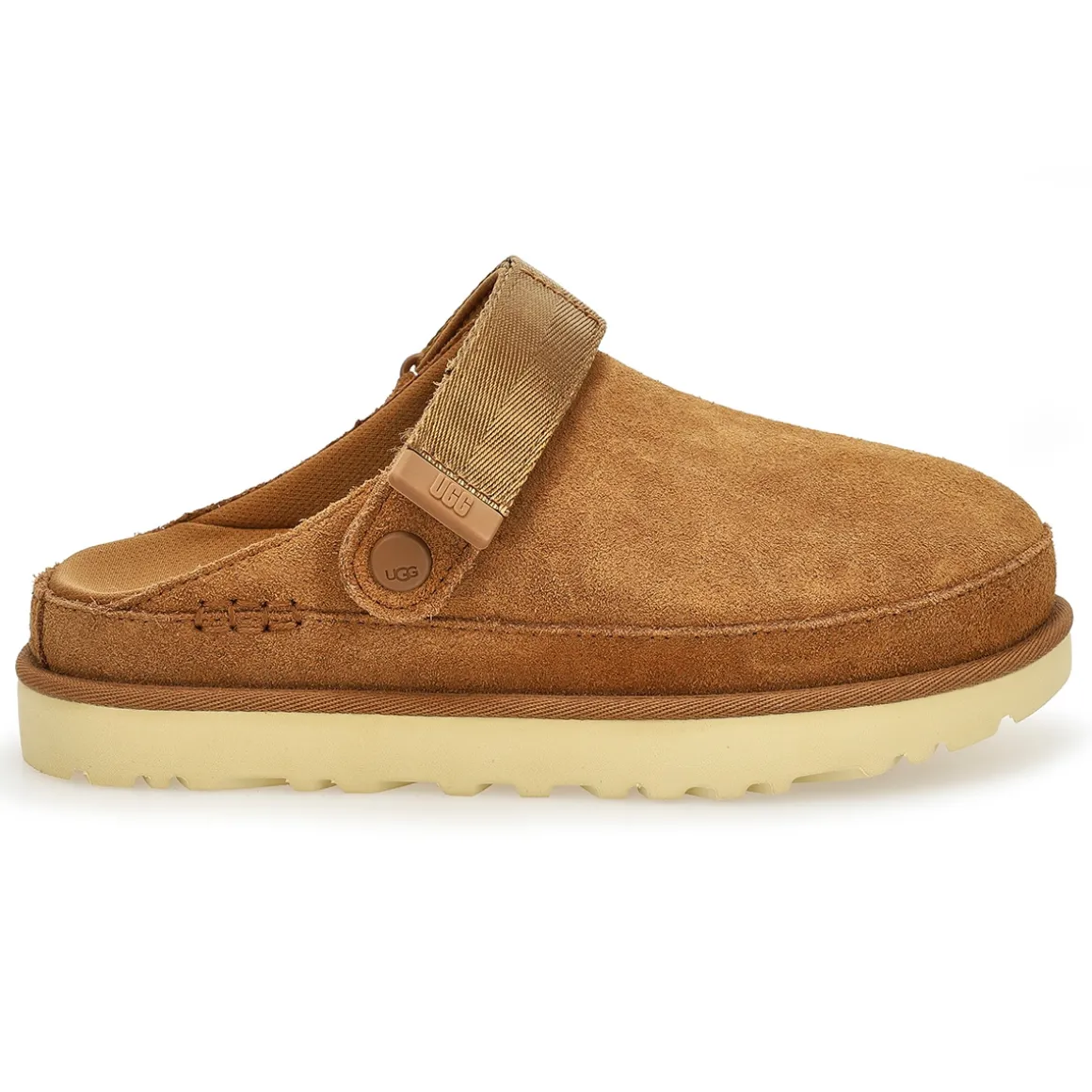 Goldenstar Meadow Accent Women